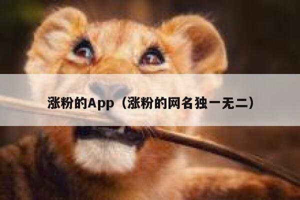 涨粉的App（涨粉的网名独一无二） 第1张