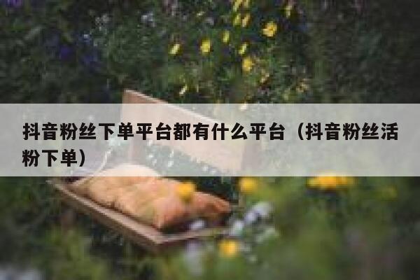 抖音粉丝下单平台都有什么平台（抖音粉丝活粉下单） 第1张