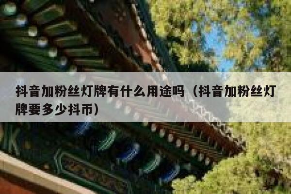 抖音加粉丝灯牌有什么用途吗（抖音加粉丝灯牌要多少抖币） 第1张