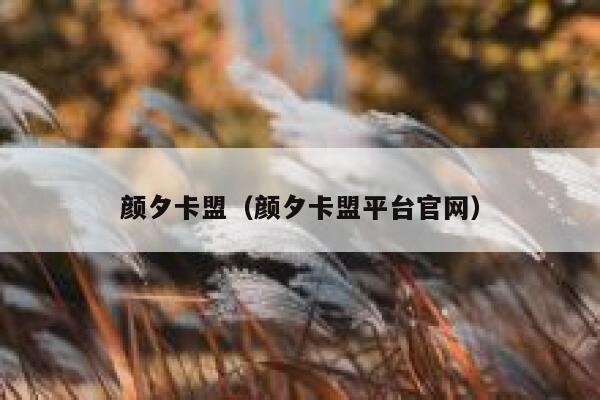 颜夕卡盟（颜夕卡盟平台官网） 第1张