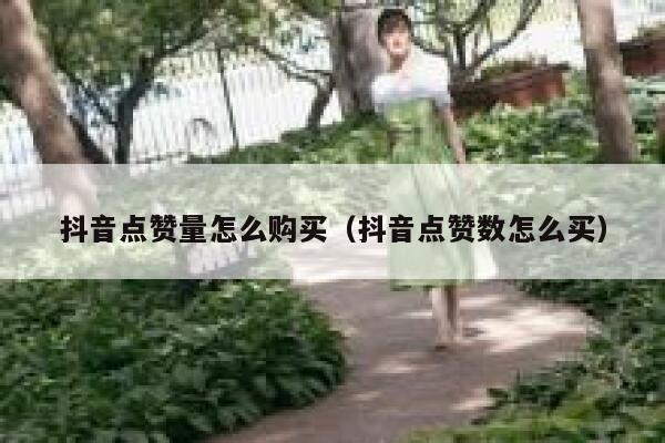 抖音点赞量怎么购买（抖音点赞数怎么买） 第1张