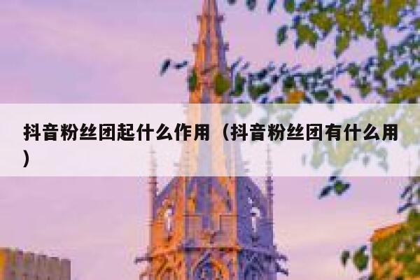 抖音粉丝团起什么作用（抖音粉丝团有什么用） 第1张