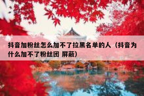 抖音加粉丝怎么加不了拉黑名单的人（抖音为什么加不了粉丝团 屏蔽） 第1张