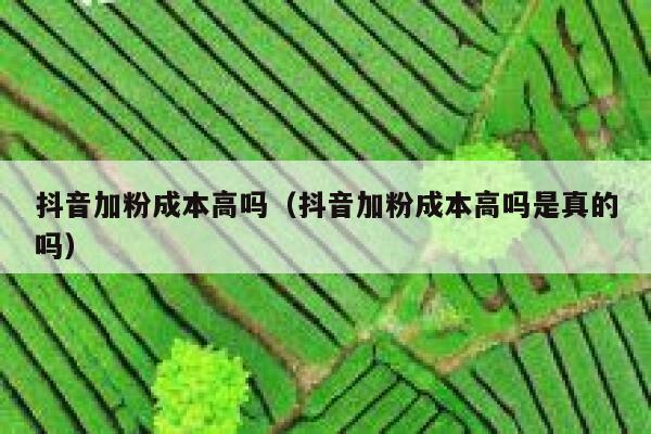 抖音加粉成本高吗（抖音加粉成本高吗是真的吗） 第1张