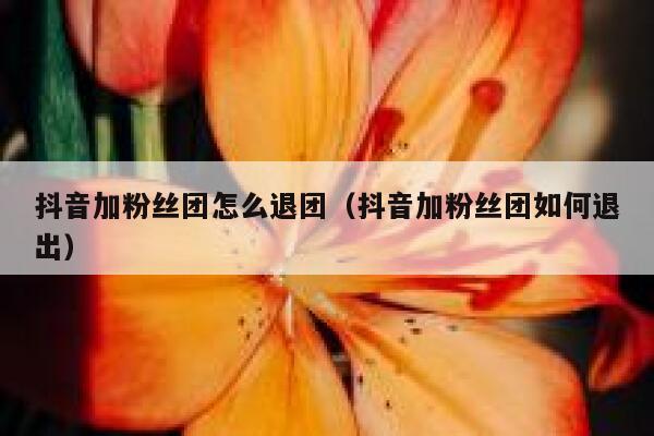抖音加粉丝团怎么退团（抖音加粉丝团如何退出） 第1张