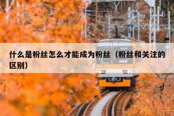 什么是粉丝怎么才能成为粉丝（粉丝和关注的区别） 第1张