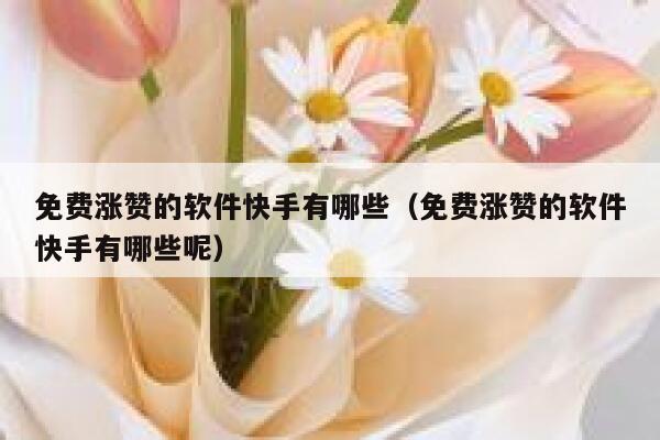 免费涨赞的软件快手有哪些（免费涨赞的软件快手有哪些呢） 第1张