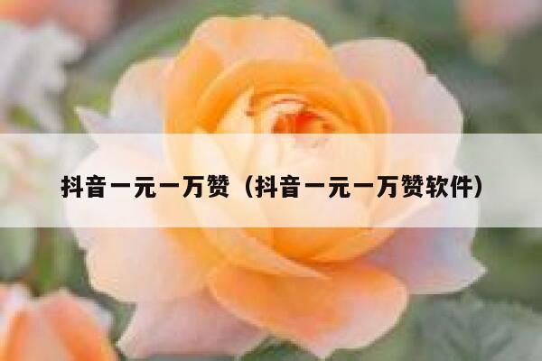 抖音一元一万赞（抖音一元一万赞软件） 第1张