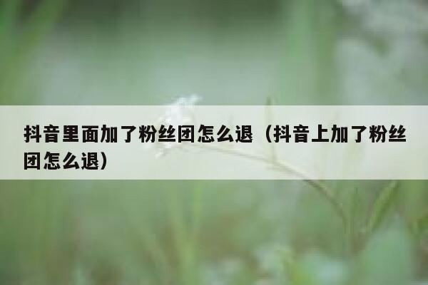 抖音里面加了粉丝团怎么退（抖音上加了粉丝团怎么退） 第1张