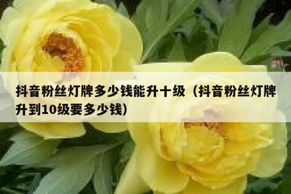 抖音粉丝灯牌多少钱能升十级（抖音粉丝灯牌升到10级要多少钱） 第1张