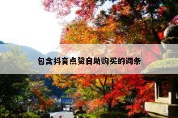 包含抖音点赞自助购买的词条 第1张