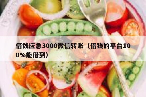 借钱应急3000微信转账（借钱的平台100%能借到） 第1张