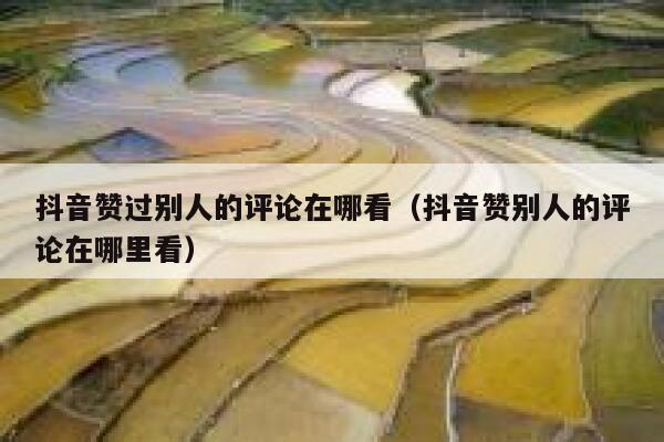 抖音赞过别人的评论在哪看（抖音赞别人的评论在哪里看） 第1张