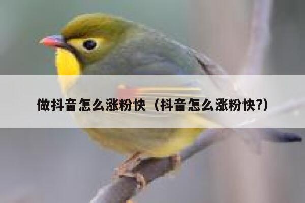 做抖音怎么涨粉快（抖音怎么涨粉快?） 第1张