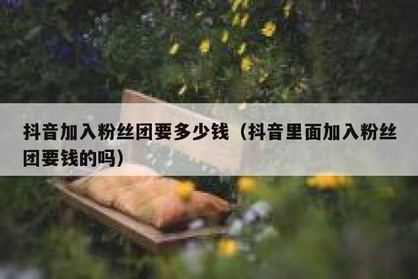 抖音加入粉丝团要多少钱（抖音里面加入粉丝团要钱的吗） 第1张