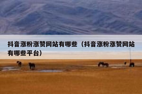 抖音涨粉涨赞网站有哪些（抖音涨粉涨赞网站有哪些平台） 第1张