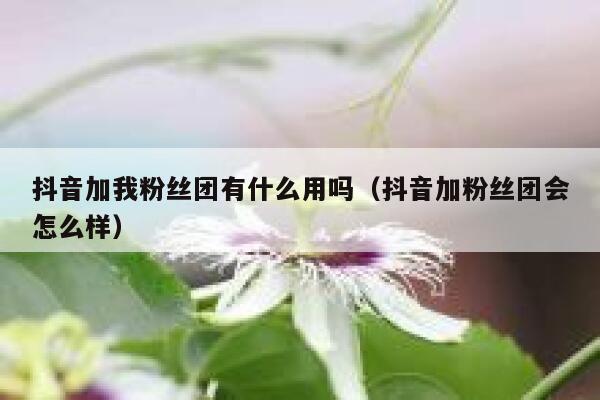 抖音加我粉丝团有什么用吗（抖音加粉丝团会怎么样） 第1张