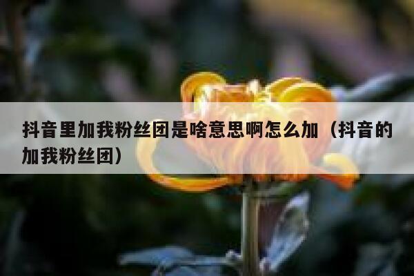 抖音里加我粉丝团是啥意思啊怎么加（抖音的加我粉丝团） 第1张