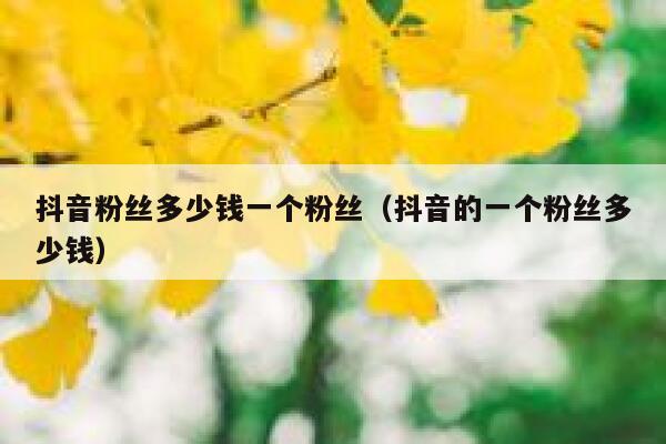 抖音粉丝多少钱一个粉丝（抖音的一个粉丝多少钱） 第1张