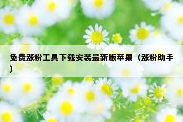 免费涨粉工具下载安装最新版苹果（涨粉助手） 第1张