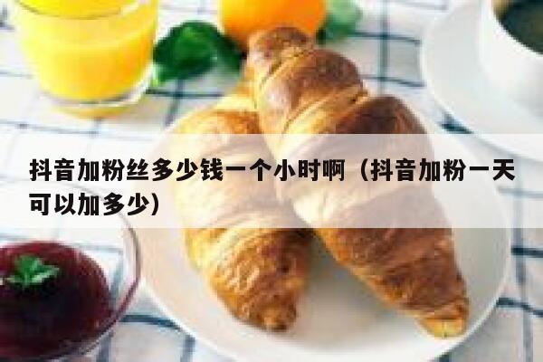 抖音加粉丝多少钱一个小时啊（抖音加粉一天可以加多少） 第1张