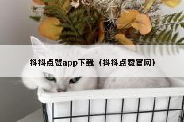 抖抖点赞app下载（抖抖点赞官网） 第1张
