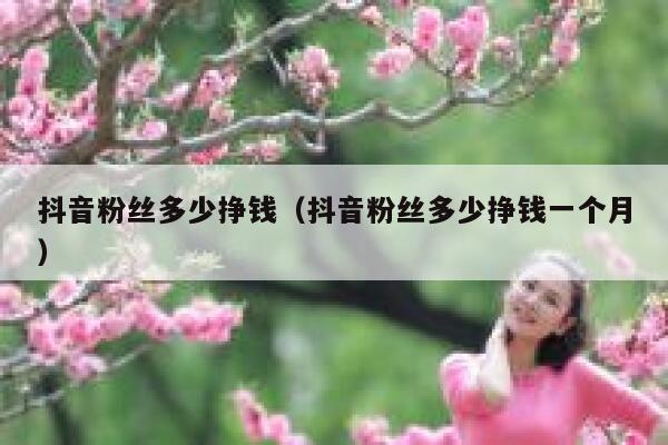 抖音粉丝多少挣钱（抖音粉丝多少挣钱一个月） 第1张