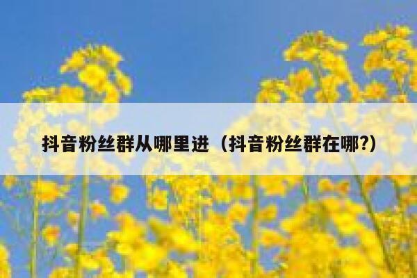 抖音粉丝群从哪里进（抖音粉丝群在哪?） 第1张