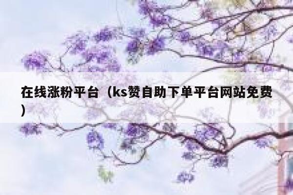 在线涨粉平台（ks赞自助下单平台网站免费） 第1张