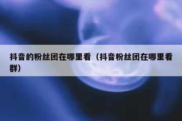 抖音的粉丝团在哪里看（抖音粉丝团在哪里看群） 第1张