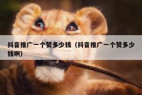 抖音推广一个赞多少钱（抖音推广一个赞多少钱啊） 第1张
