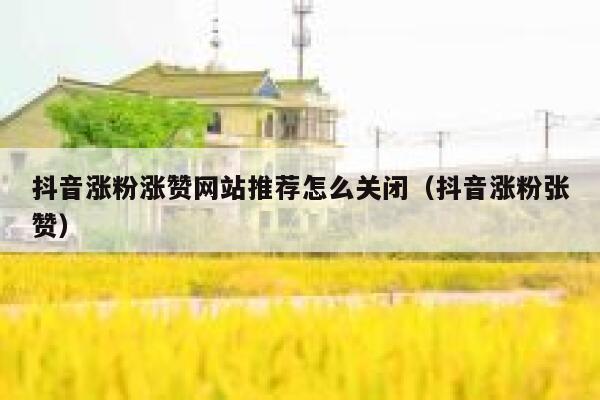 抖音涨粉涨赞网站推荐怎么关闭（抖音涨粉张赞） 第1张