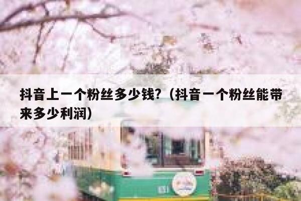 抖音上一个粉丝多少钱?（抖音一个粉丝能带来多少利润） 第1张