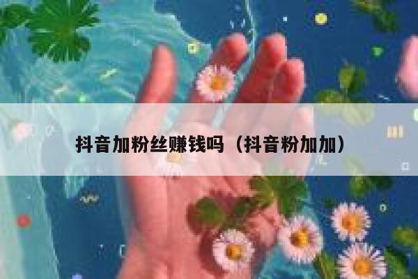 抖音加粉丝赚钱吗（抖音粉加加） 第1张