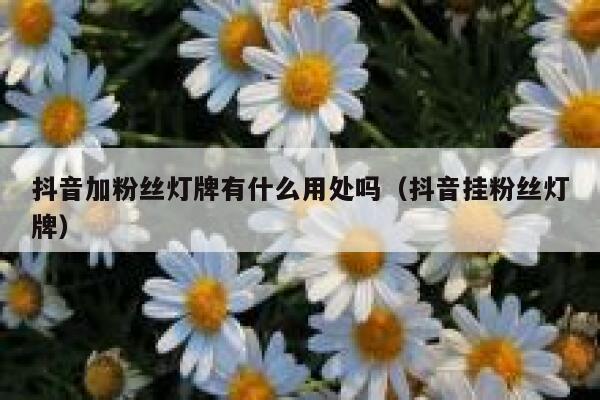 抖音加粉丝灯牌有什么用处吗（抖音挂粉丝灯牌） 第1张