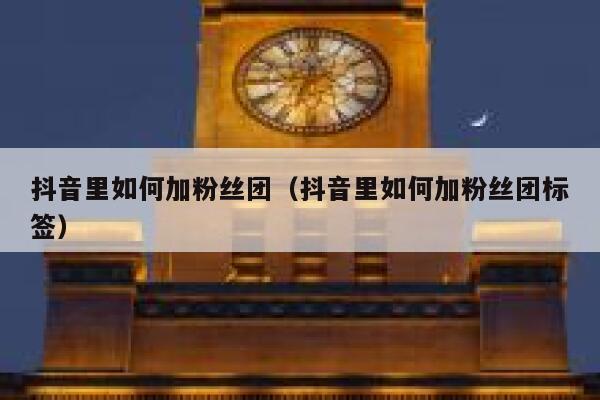 抖音里如何加粉丝团(抖音里如何加粉丝团标签) 第1张 抖音里如何加粉丝团(抖音里如何加粉丝团标签) 第1张