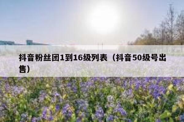 抖音粉丝团1到16级列表（抖音50级号出售） 第1张