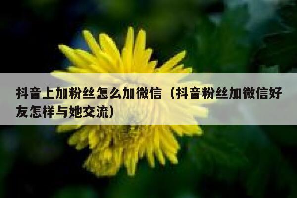 抖音上加粉丝怎么加微信（抖音粉丝加微信好友怎样与她交流） 第1张