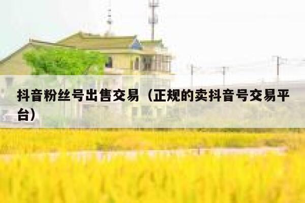 抖音粉丝号出售交易（正规的卖抖音号交易平台） 第1张