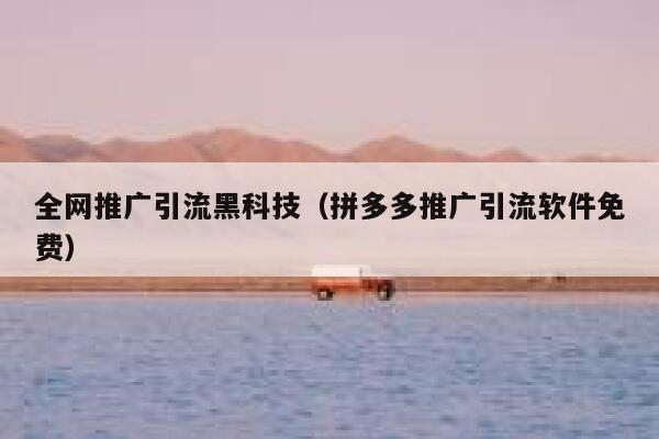 全网推广引流黑科技（拼多多推广引流软件免费） 第1张