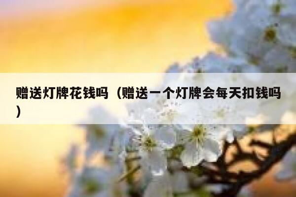 赠送灯牌花钱吗(赠送一个灯牌会每天扣钱吗) 第1张 赠送灯牌花钱吗(赠送一个灯牌会每天扣钱吗) 第1张