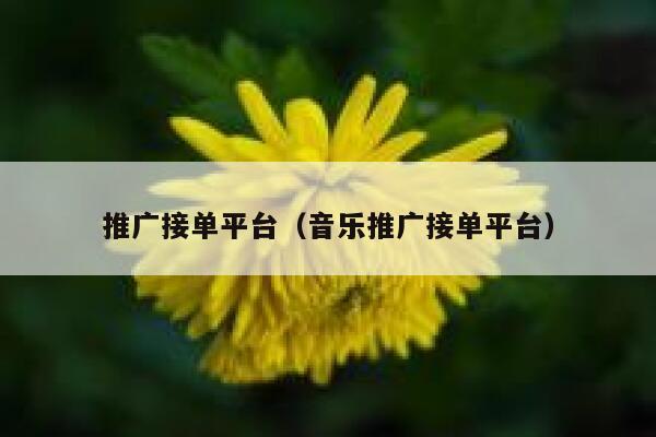 推广接单平台（音乐推广接单平台） 第1张