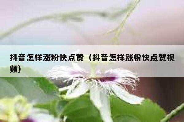 抖音怎样涨粉快点赞（抖音怎样涨粉快点赞视频） 第1张