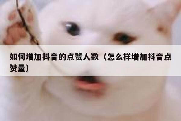 如何增加抖音的点赞人数(怎么样增加抖音点赞量) 第1张 如何增加抖音的点赞人数(怎么样增加抖音点赞量) 第1张