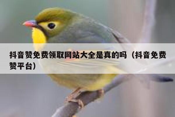 抖音赞免费领取网站大全是真的吗（抖音免费赞平台） 第1张