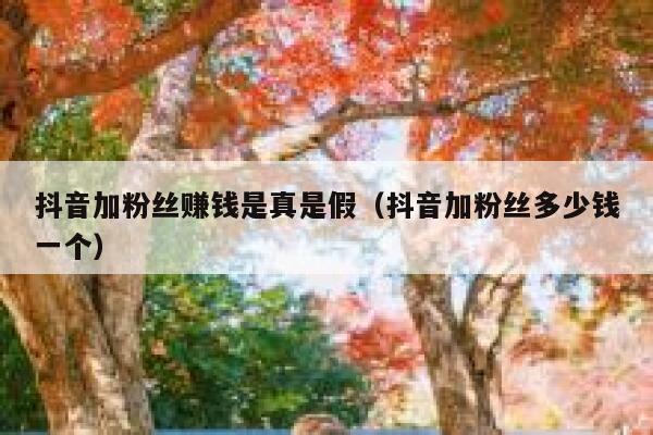 抖音加粉丝赚钱是真是假(抖音加粉丝多少钱一个) 第1张 抖音加粉丝赚钱是真是假(抖音加粉丝多少钱一个) 第1张