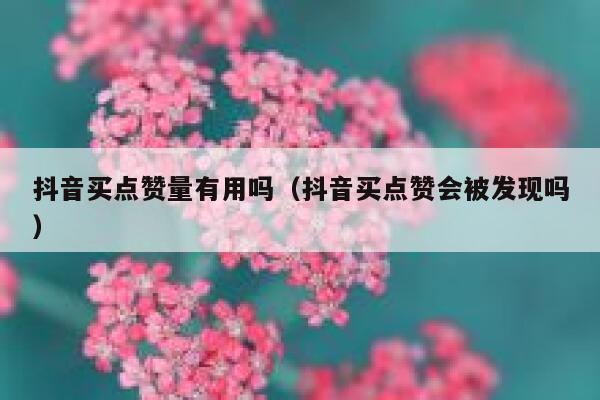 抖音买点赞量有用吗(抖音买点赞会被发现吗) 第1张 抖音买点赞量有用吗(抖音买点赞会被发现吗) 第1张