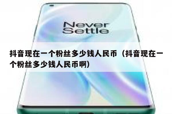 抖音现在一个粉丝多少钱人民币（抖音现在一个粉丝多少钱人民币啊） 第1张