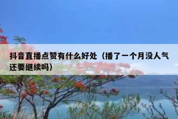 抖音直播点赞有什么好处(播了一个月没人气还要继续吗) 第1张 抖音直播点赞有什么好处(播了一个月没人气还要继续吗) 第1张