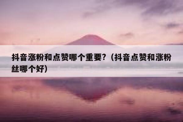 抖音涨粉和点赞哪个重要?（抖音点赞和涨粉丝哪个好） 第1张